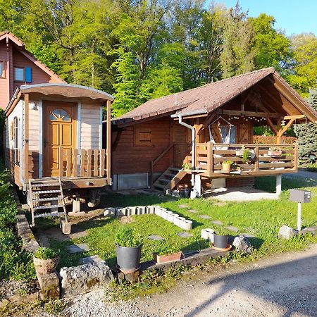 Location Type Gite, Chambre D'Hote, Meuble De Tourisme Dans Joli Petit Chalet Typique Et Ou Jolie Roulotte Type Boheme Waldighoffen Luaran gambar